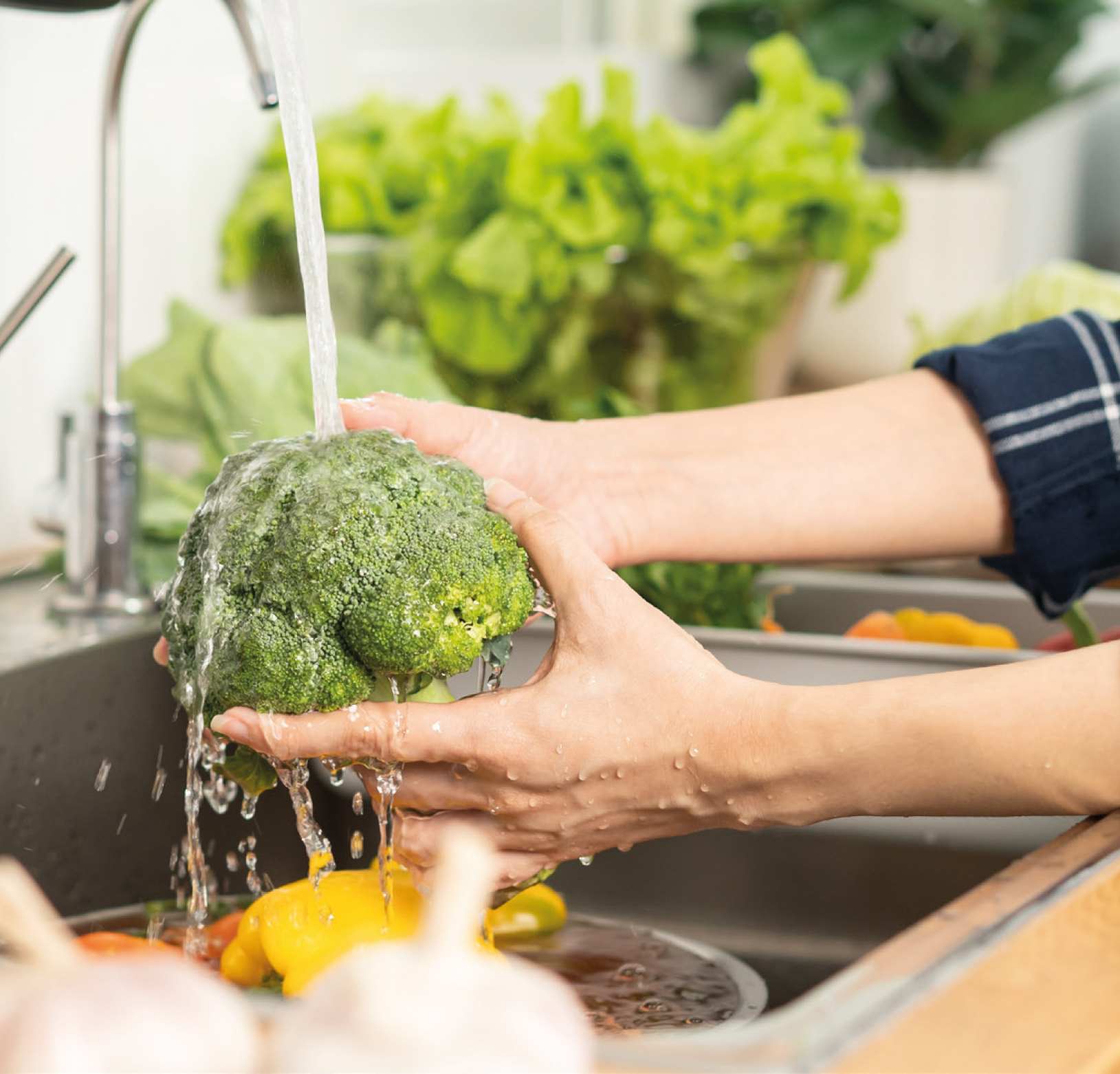 Sebze ve Meyveler Nasıl Temizlenmeli?